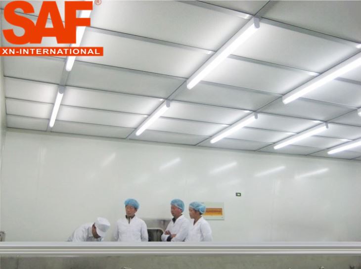 Class 100 Laminar Flow Hood (6)